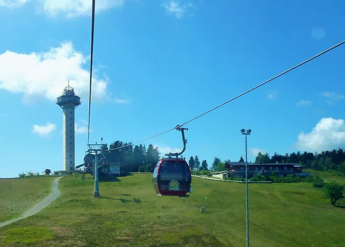 Fewo C Am Kurpark**** Apartment Willingen (Upland)