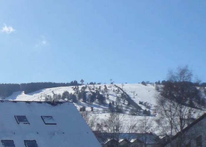 Apartment Fewo C Am Kurpark**** Willingen (Upland)